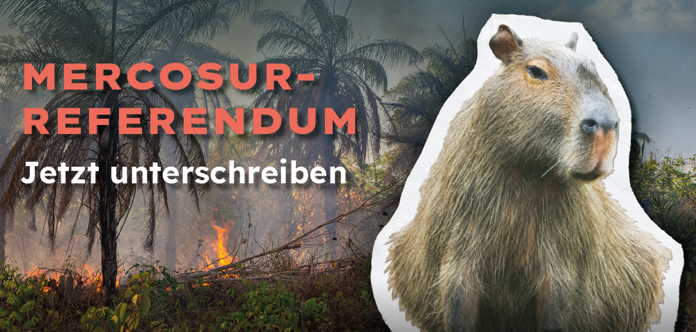 Mercosur-Referendum – Jetzt unterschreiben