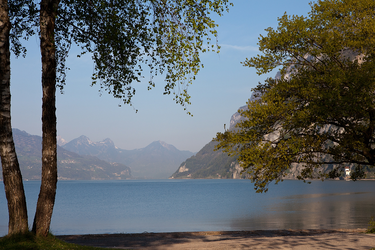 Walenseeufer in Walenstadt mit Bäumen und Bergen